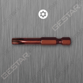 Bit Potente de Vástago redondo 1/4" Hex x 50 mm L, con Pureba de Maripulación TORX®
